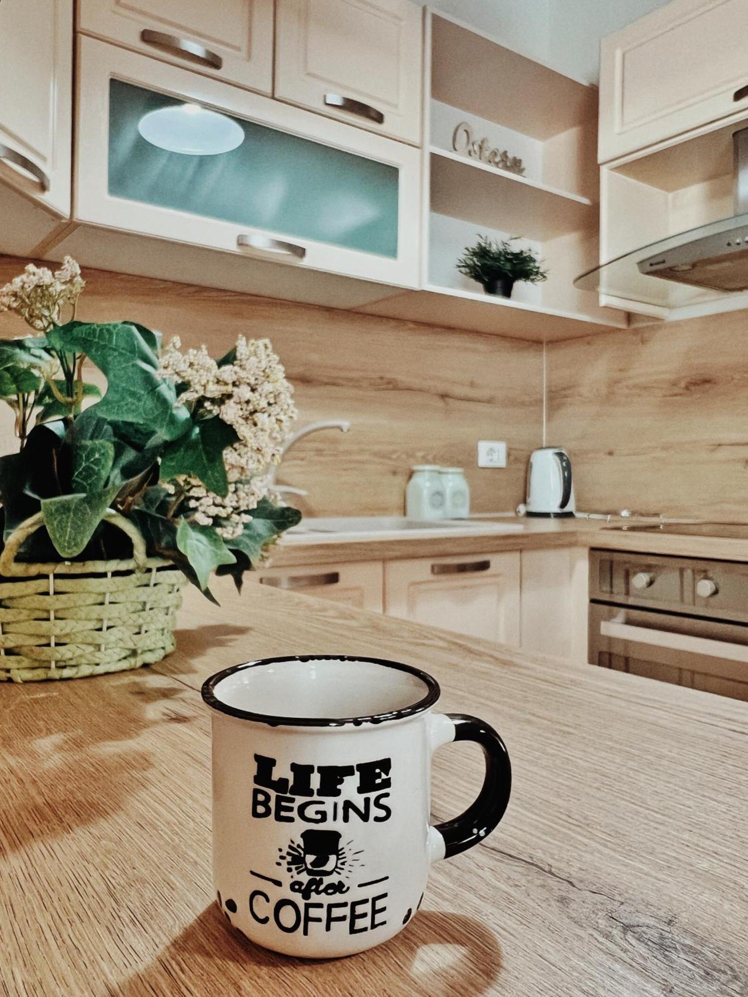 Cozy Rooftop Apartment - Your Home, Away From Home! Tirana Extérieur photo